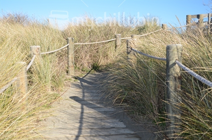 Seagrass Path