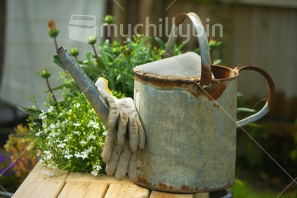 An old but well used watering can.