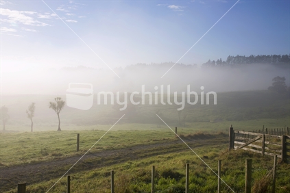 Morning mist on farm