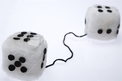 White fluffy dice