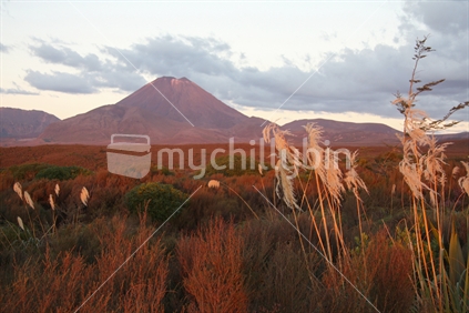 Mount Ngauruhoe at sunset