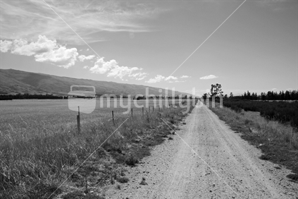 Long country road stretches away into the distance north of Middlemarch, Otago