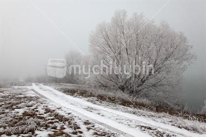 Hoar-frost coated trees and snowy road next to a stream near Twizel, MacKenzie Country, New Zealand