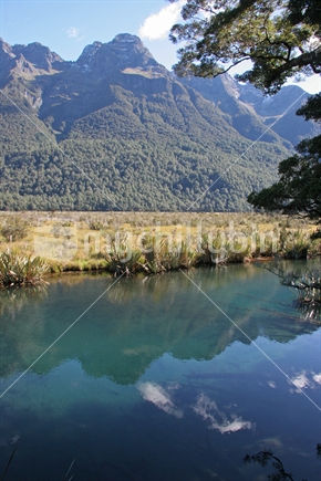 Mirror Lakes, on the Milford Road