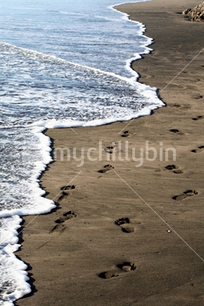 Footprints in black sand