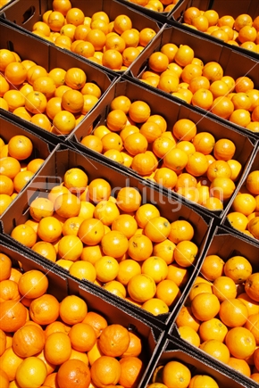 Boxed oranges