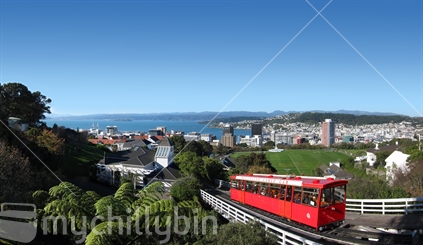 Wellington Cable Car Panorama