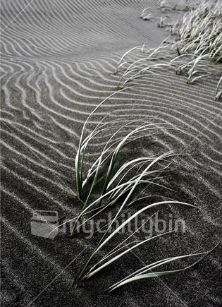 Sand at Karekare Beach, west of Auckland