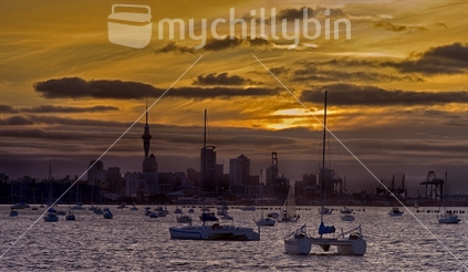Auckland City, from Okahu Bay