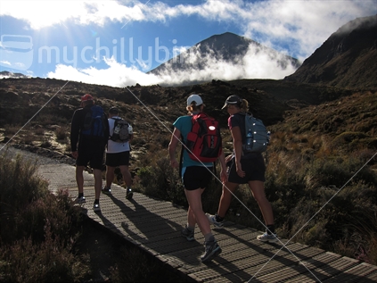Alpine Walkers ascend toward Mount Ngauruhoe (lens flare)