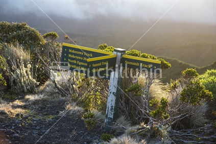 Direction signs on Mt Taranaki
