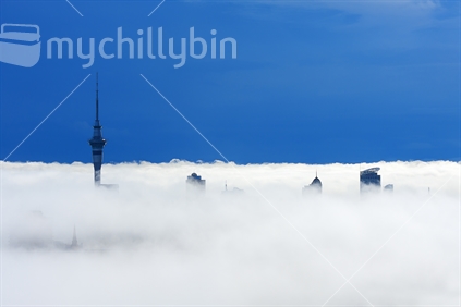 Auckland CBD in clouds, or clouds in Auckland CBD. From Mt Eden.	