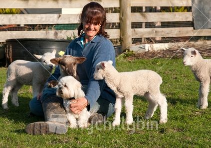 Cuddles with the lambs and dog in the paddock