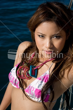 Modeling in the Bay of Islands