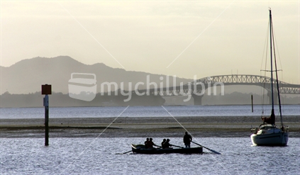 Rowers of the Waitemata Harbour, Auckland, New Zealand