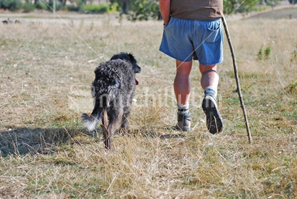 Farmer and his dog walking across farm