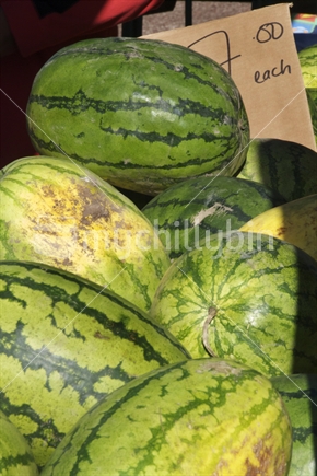 Watermelons at market