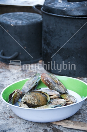 Plate of mussels in a rustic environment, fresh from the BBQ