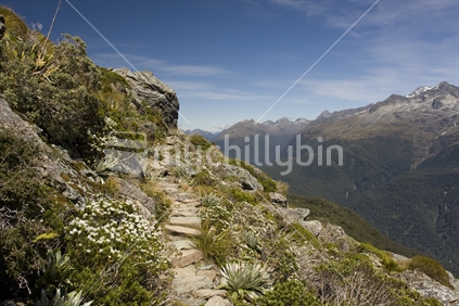 View of the Hollyford valley at Routeburn Track, New Zealand