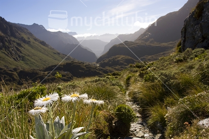 Valley at Routeburn Track, New Zealand
 