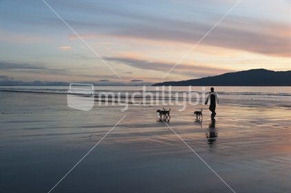 Walking dogs on the Kapiti beach near dusk, New Zealand