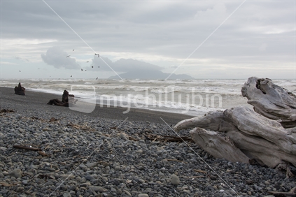 Otaki beach after a storm, North island, new Zealand.
