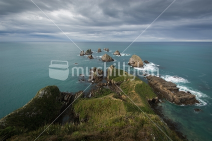 Nugget Point, the South Island, New Zealand.
