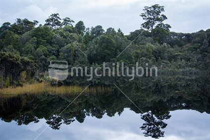 Lake Wilkie, The Catlins (focus near reflection)