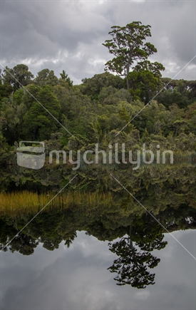 Lake Wilkie, The Catlins (focus reflection)
