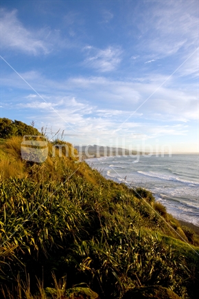 View from cliff top of West Coast sea, sky and flax