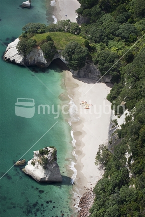 Aerial view of kayakers on a beach at Cathedral Cove, Coromandel, New Zealand