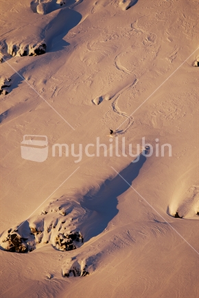 A skier riding down the slopes at Whakapapa ski field in late afternoon light. Mt Ruapehu, North Island, New Zealand