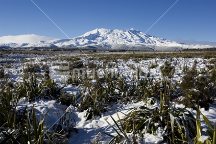 Mt Ruapehu and snow covered landscape after heavy snowfall. Whakapapa side. North Island, New Zealand