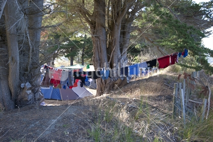 A clothesline under trees at a beachside campsite, New Zealand