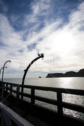 A seagull sitting on a pole on Tolaga bay wharf, New Zealand