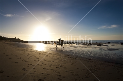 A man riding his horse on the beach at sunset, New Zealand