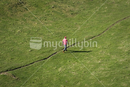 A man walking through an empty grass paddock on a New Zealand farm.