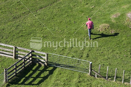 A man walking away from a gate, through a grass paddock, on a new Zealand farm.