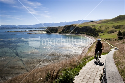 A cyclist riding along the coastal walkway in Kaikoura, New Zealand. 