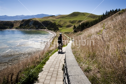 A cyclist riding along the coastal walkway in Kaikoura, New Zealand.