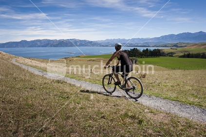 A cyclist riding along the coastal walkway in Kaikoura, New Zealand.