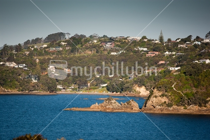Houses and baches overlooking  a bay at Waiheke Island.