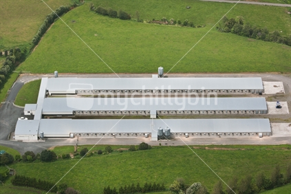 Aerial photo of a chicken farm, broiler sheds.