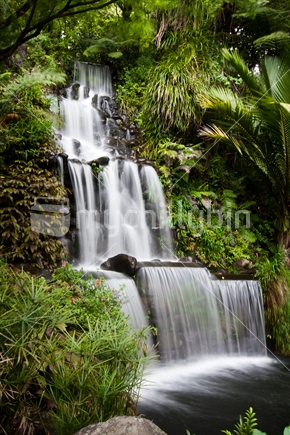 A waterfall flowing into a pond in lush bush in Pukekura Park, Taranaki.