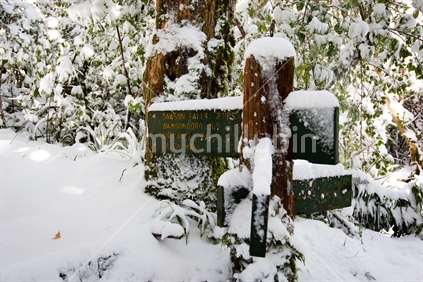 A view of a walkway sign and trees covered by snow after a snow storm.