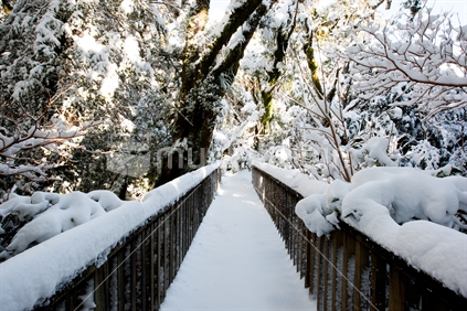 A view of bridge and trees covered by snow after a snow storm.