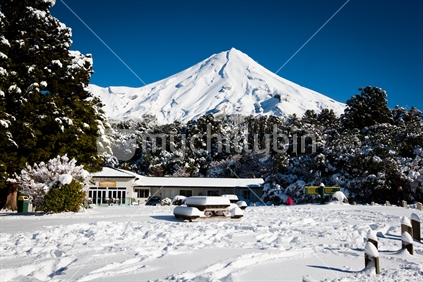 A view of Mt Taranaki / Egmont and trees covered by snow after a snow storm.