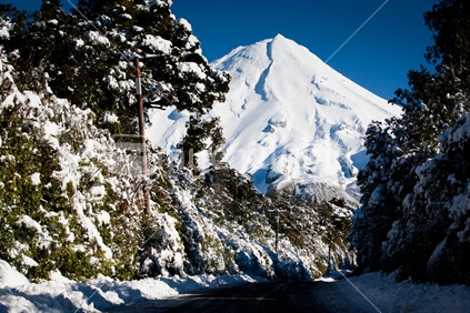 A view of Mt Taranaki / Egmont and trees covered by snow after a snow storm.