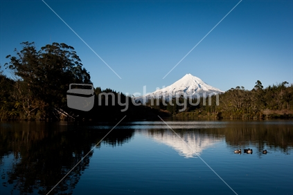 A snow covered Mt Taranaki / Egmont reflected in calm water of Lake Mangamahoe.