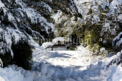 Winter scene of snow covered trees and a vehicle at Mt Ruapehu